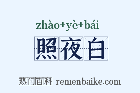 照夜白是什么意思的图片